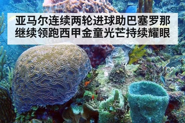 亚马尔连续两轮进球助巴塞罗那继续领跑西甲金童光芒持续耀眼
